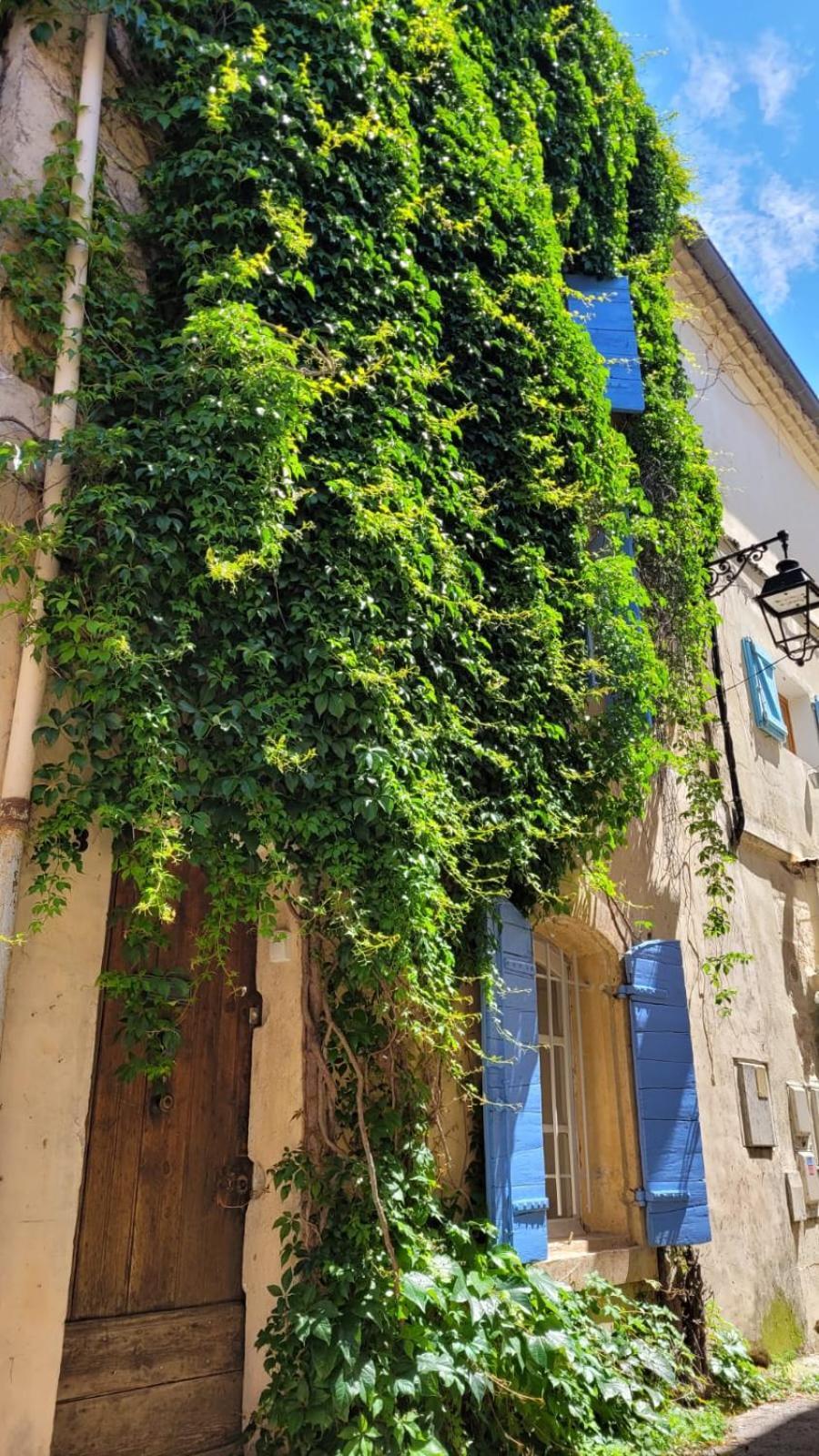 La Confidentielle Centre Ville Arles Terrasse ภายนอก รูปภาพ