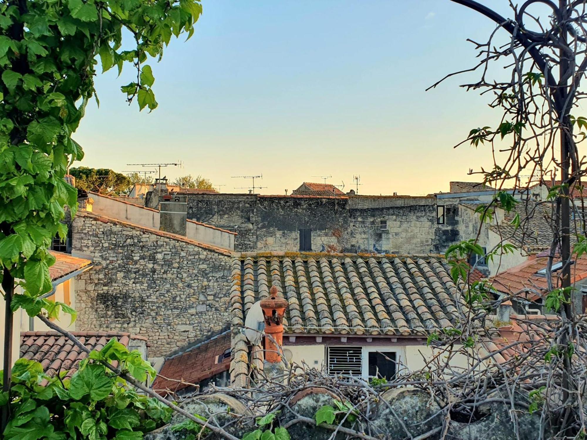 La Confidentielle Centre Ville Arles Terrasse ภายนอก รูปภาพ